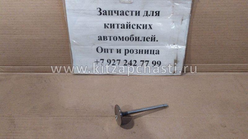 Клапан впускной BAW Fenix 33462 Евро 3 1007011X2